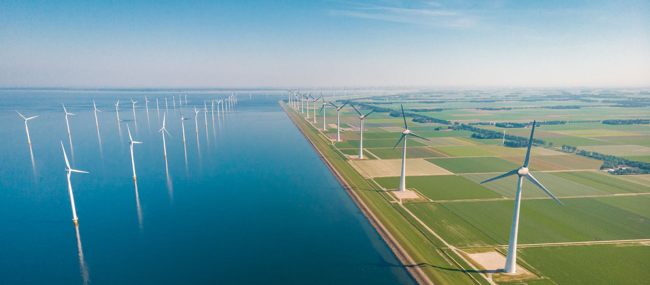 Blue-green economy